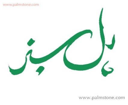 Persian Farsi Calligraphy Logo Design